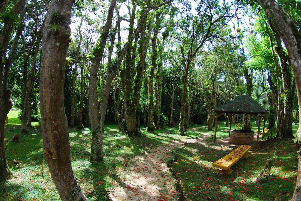Parador Villas Sotomayor Adjuntas Exterior foto